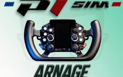 P1Sim Arnage: Meine ehrliche Meinung zu diesem Lenkrad